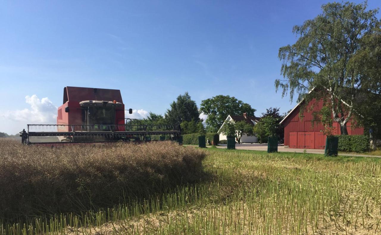 Lyckas Gards Gaestboende Höganäs المظهر الخارجي الصورة