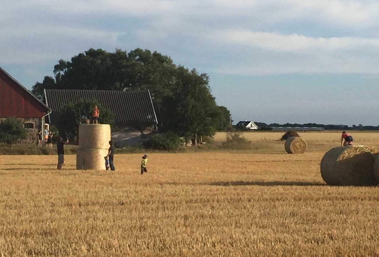 Lyckas Gards Gaestboende Höganäs المظهر الخارجي الصورة